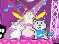 Happy Hamster Puzzle Journey