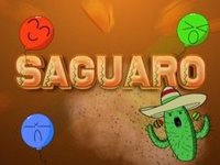 Saguaro Desert Arcade Game