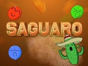 Saguaro Arcade Adventure