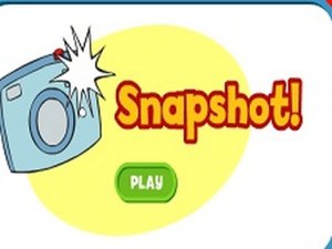 Snapshot Photo Game - Casual Photography