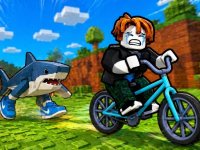 Bike Obstacle Course Challenge