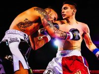 Champion Boxers Jigsaw Puzzle