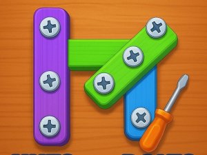 Nuts and Bolts Puzzle Game
