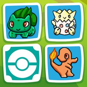 Animal Match Memory Puzzle